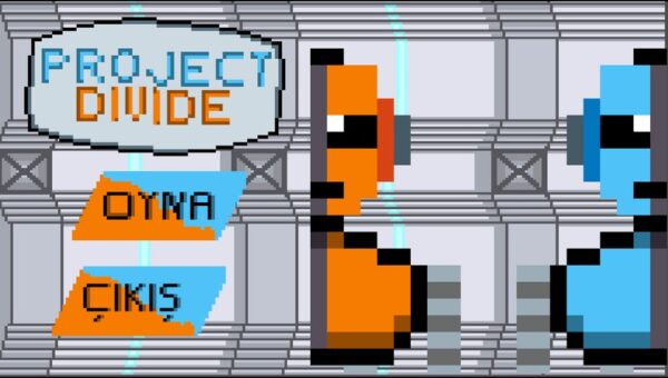 Project: DİVİDE
